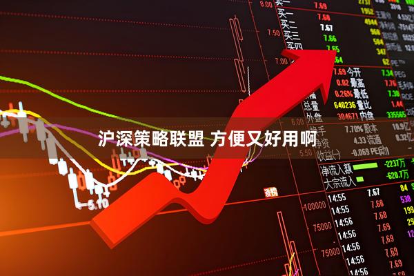 沪深策略联盟 方便又好用啊